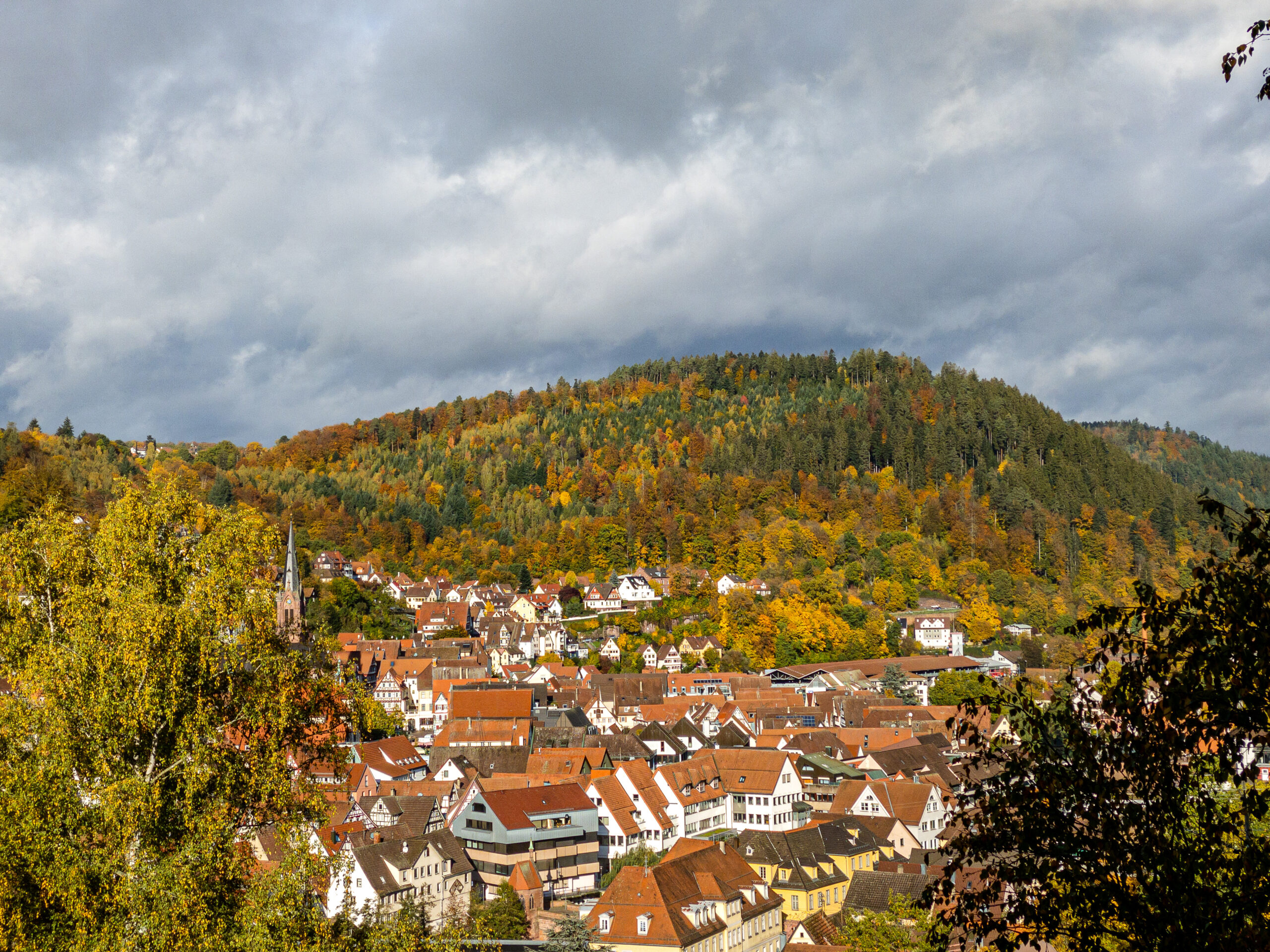 Schwarzwaldansicht der Stadt Calw