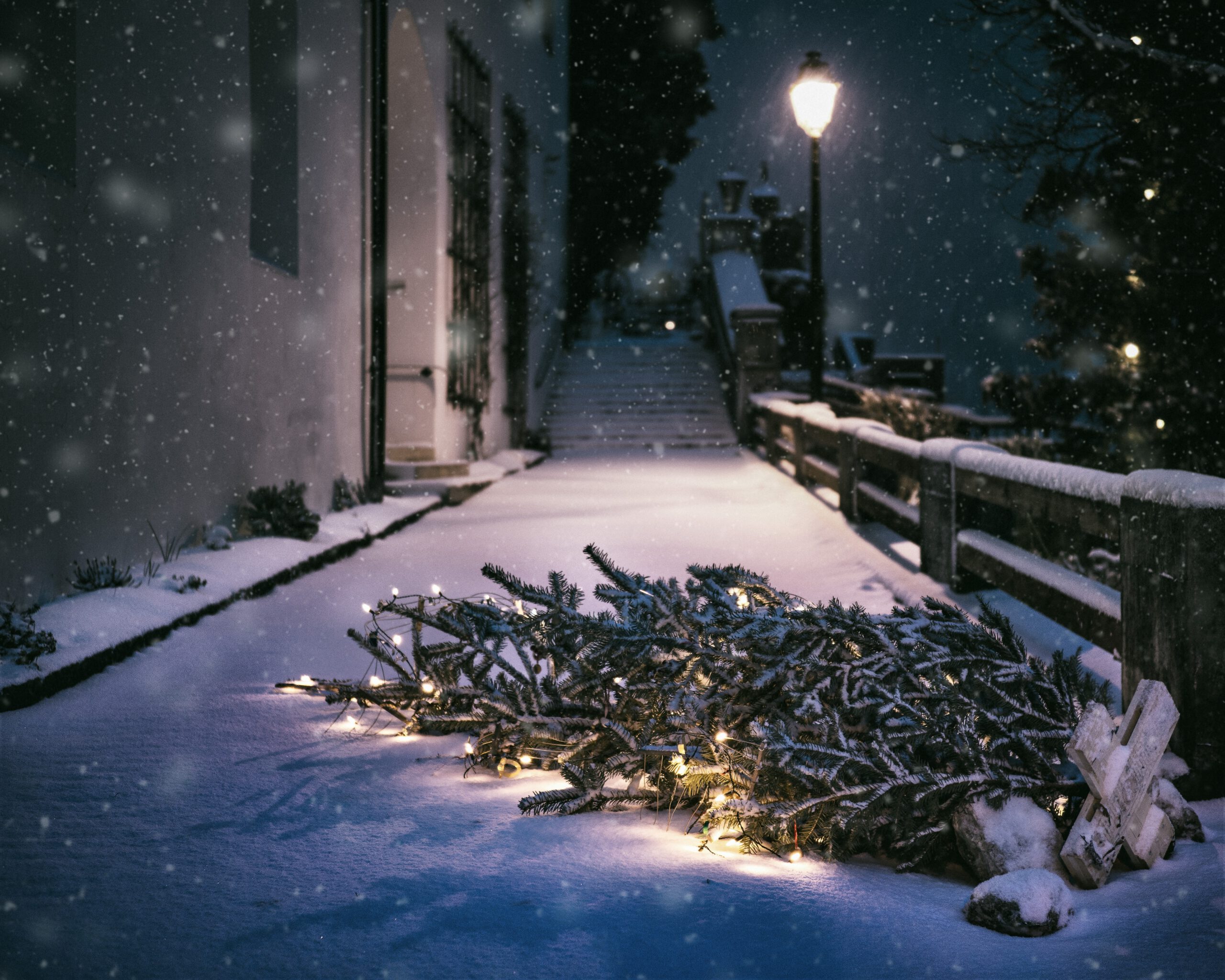 Weihnachtsbaum liegt im Schnee auf Straße